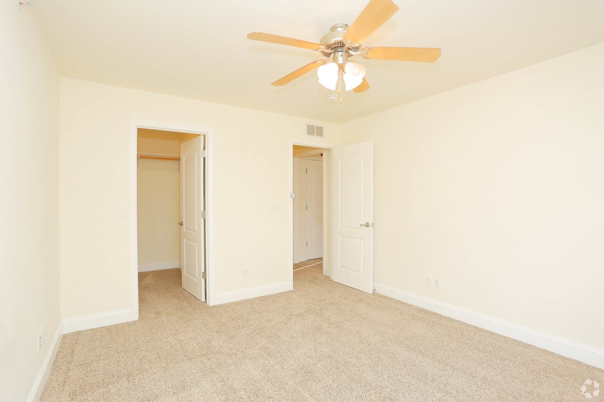 Apartments for Rent Carbondale, IL Storyboard on Black Diamond